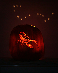 Scorpion carved into pumpkin with constellation in background